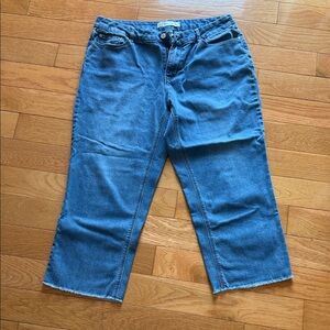 Women’s Ankle Crop Jeans - Blue